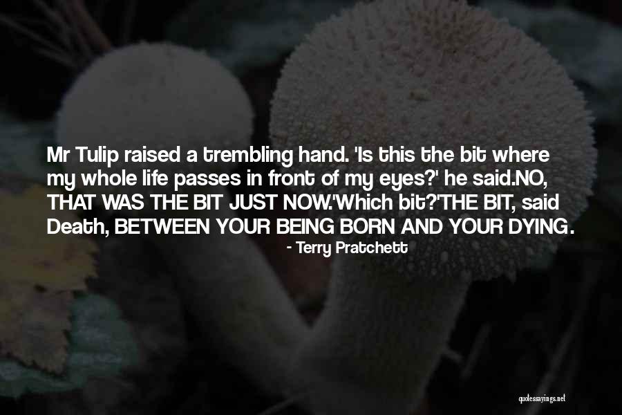 Demetriades Ophthalmologist Quotes By Terry Pratchett Demetriades Ophthalmologist Quotes By Terry Pratchett