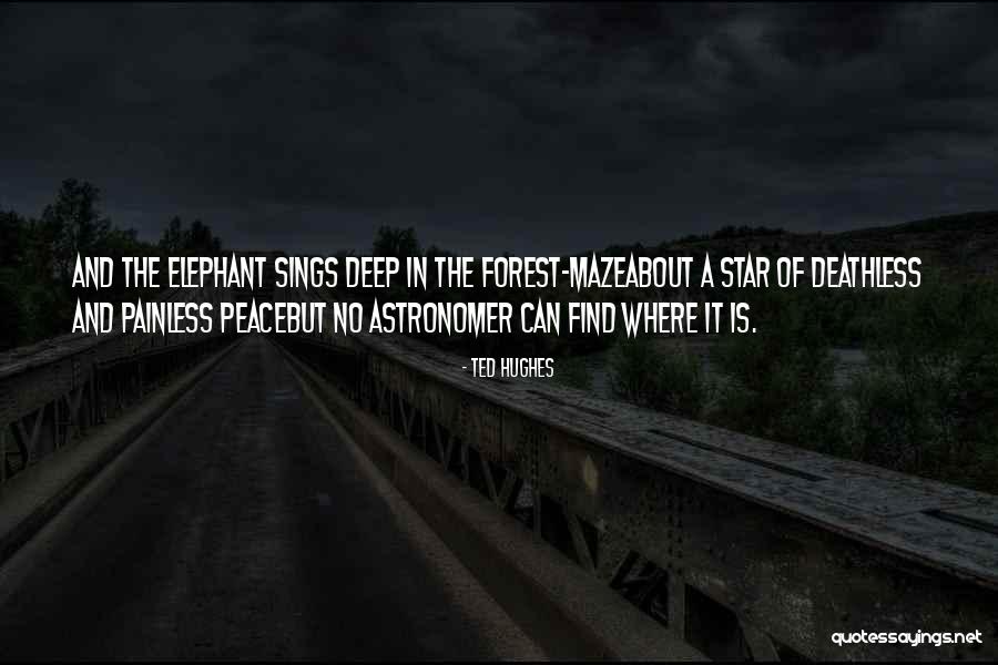 Demetrious Quotes By Ted Hughes Demetrious Quotes By Ted Hughes
