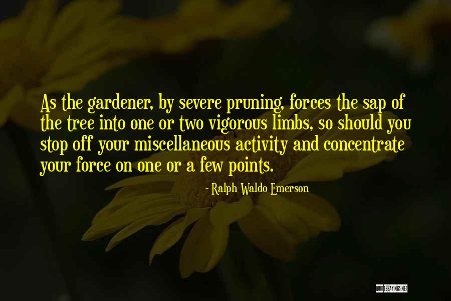 Demets Medford Quotes By Ralph Waldo Emerson Demets Medford Quotes By Ralph Waldo Emerson