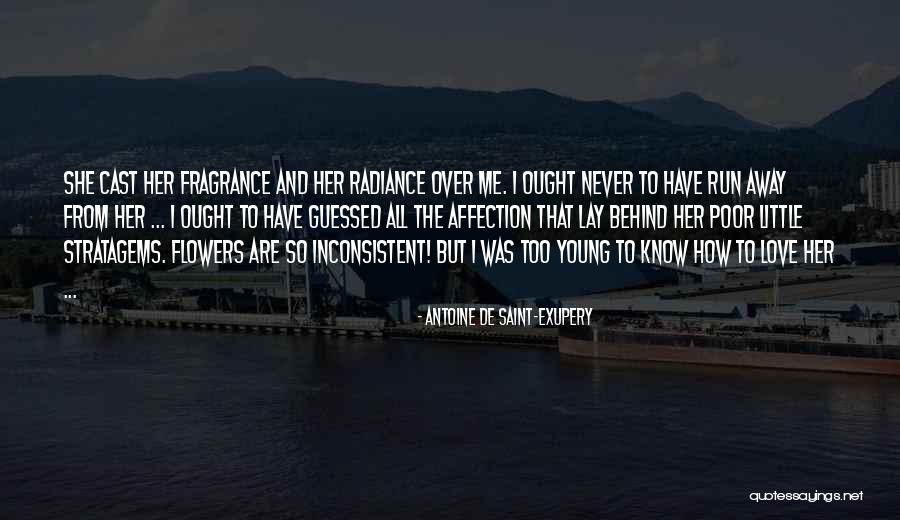 Demeyer Quotes By Antoine De Saint-Exupery Demeyer Quotes By Antoine De Saint-Exupery
