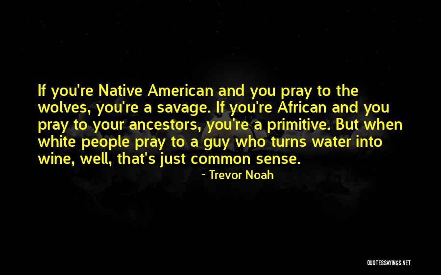 Demeyer Quotes By Trevor Noah Demeyer Quotes By Trevor Noah