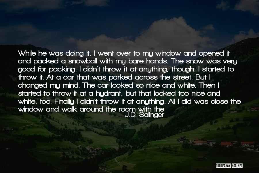 Demezzo Quotes By J.D. Salinger Demezzo Quotes By J.D. Salinger