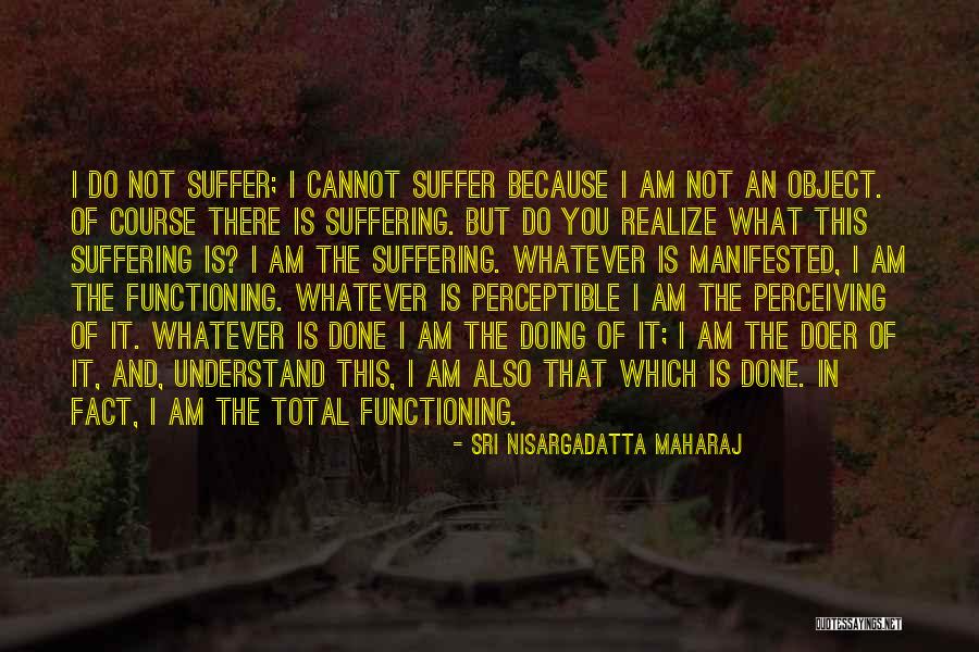 Demidovich Calculus Quotes By Sri Nisargadatta Maharaj