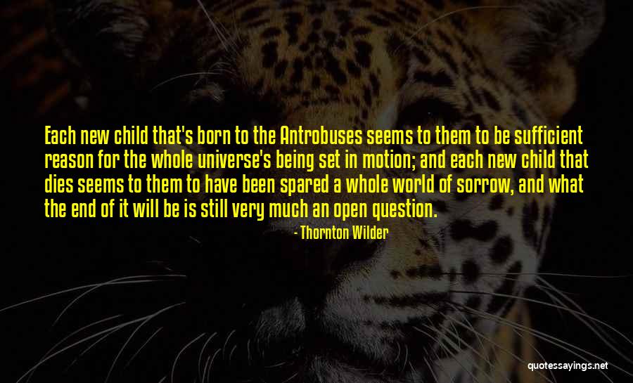 Demings Orlando Quotes By Thornton Wilder Demings Orlando Quotes By Thornton Wilder