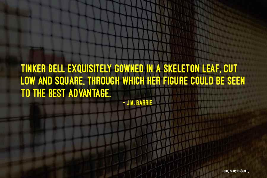 Demining In Iraq Quotes By J.M. Barrie Demining In Iraq Quotes By J.M. Barrie