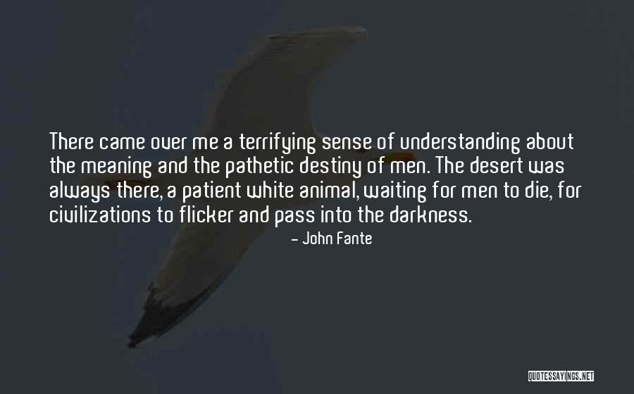 Demirel Medicine Quotes By John Fante Demirel Medicine Quotes By John Fante