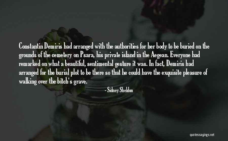 Demiris Quotes By Sidney Sheldon Demiris Quotes By Sidney Sheldon