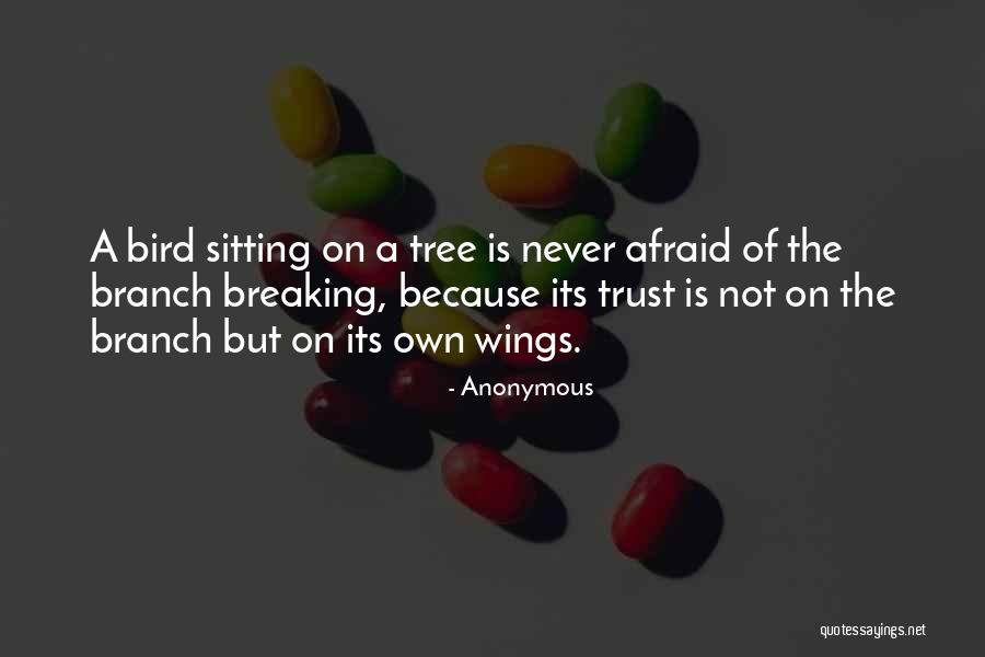 Demirjian Los Angeles Quotes By Anonymous Demirjian Los Angeles Quotes By Anonymous
