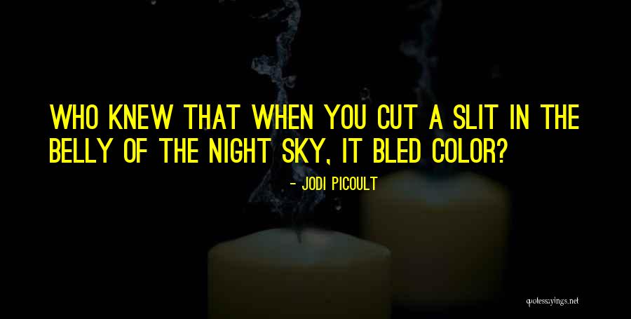 Demirsoylar Quotes By Jodi Picoult Demirsoylar Quotes By Jodi Picoult