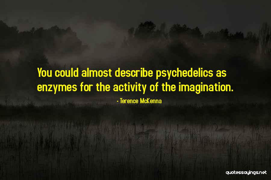 Demiurge Creative Spirit Quotes By Terence McKenna Demiurge Creative Spirit Quotes By Terence McKenna