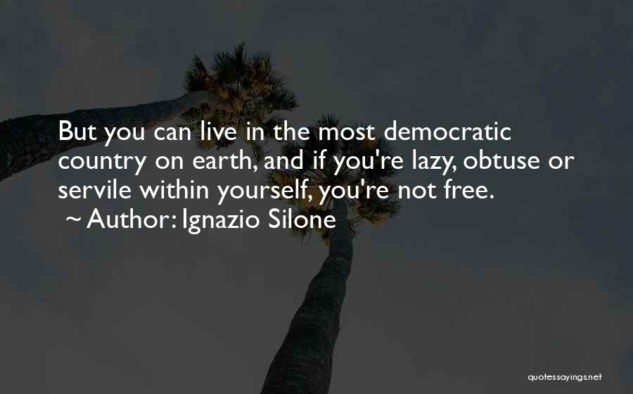 Democracy And Freedom Quotes By Ignazio Silone