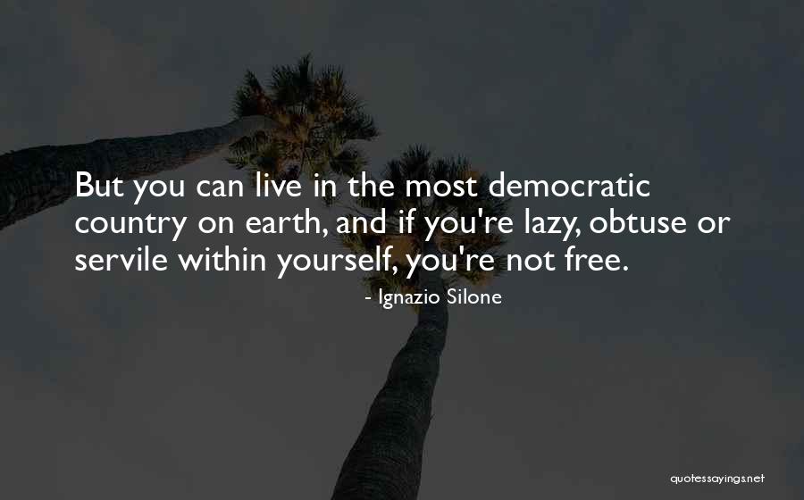 Democracy And Freedom Quotes By Ignazio Silone