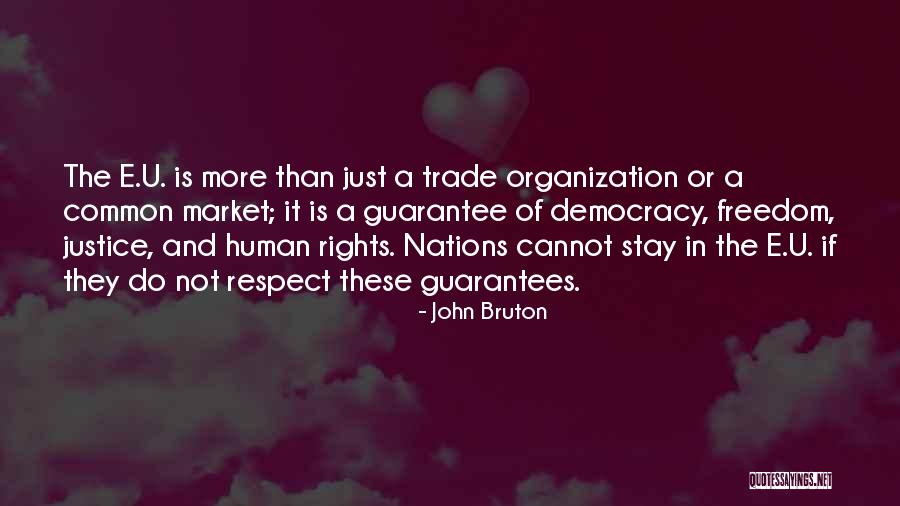 Democracy And Freedom Quotes By John Bruton