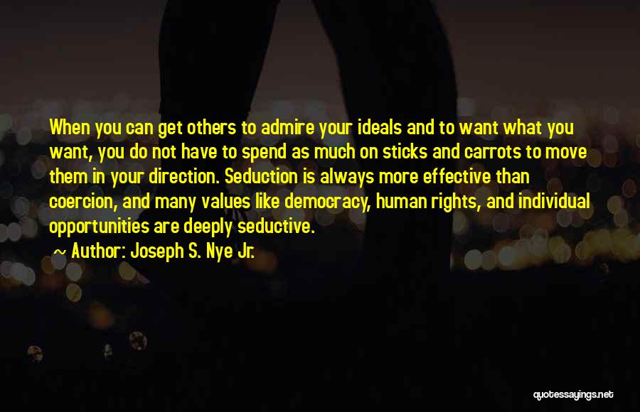 Democracy And Human Rights Quotes By Joseph S. Nye Jr.