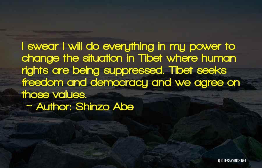 Democracy And Human Rights Quotes By Shinzo Abe