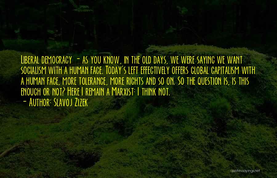 Democracy And Human Rights Quotes By Slavoj Zizek