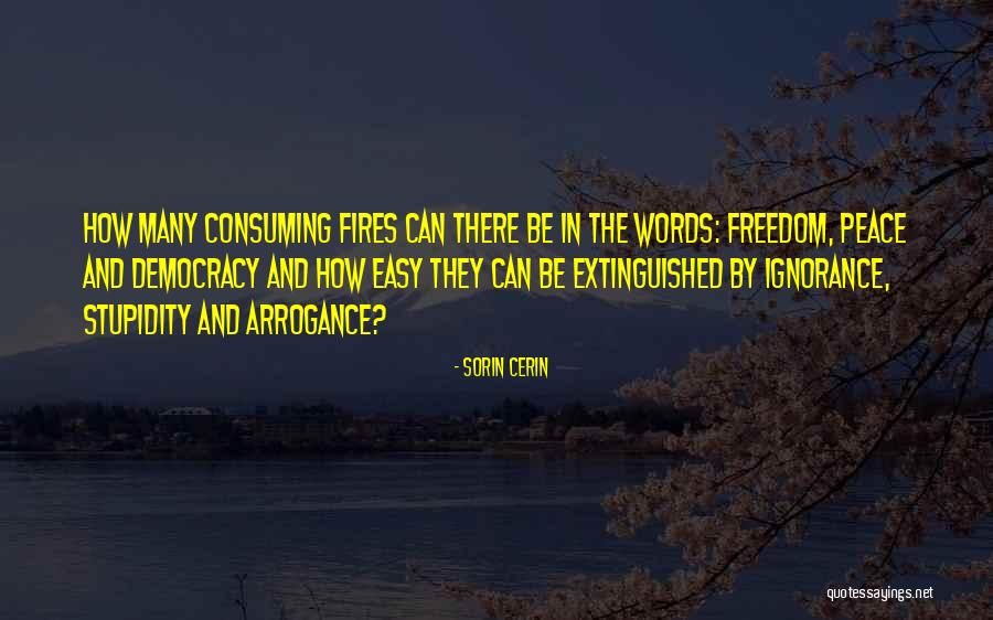 Democracy And Peace Quotes By Sorin Cerin Democracy And Peace Quotes By Sorin Cerin