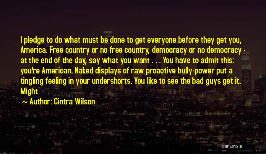 Democracy Day Quotes By Cintra Wilson