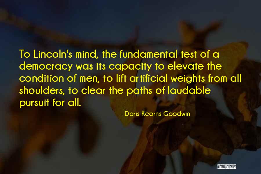 Democracy Lincoln Quotes By Doris Kearns Goodwin Democracy Lincoln Quotes By Doris Kearns Goodwin