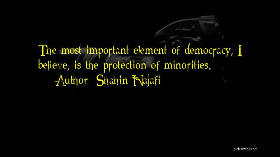 Democracy Minorities Quotes By Shahin Najafi