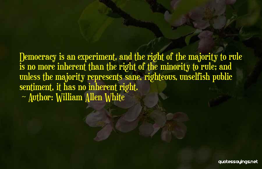 Democracy Minorities Quotes By William Allen White