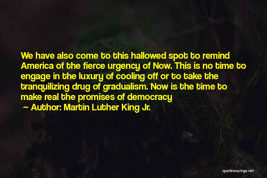 Democracy Now Quotes By Martin Luther King Jr.