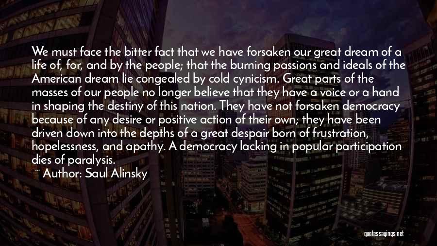 Democracy Participation Quotes By Saul Alinsky