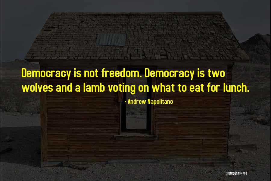 Democracy Voting Quotes By Andrew Napolitano Democracy Voting Quotes By Andrew Napolitano