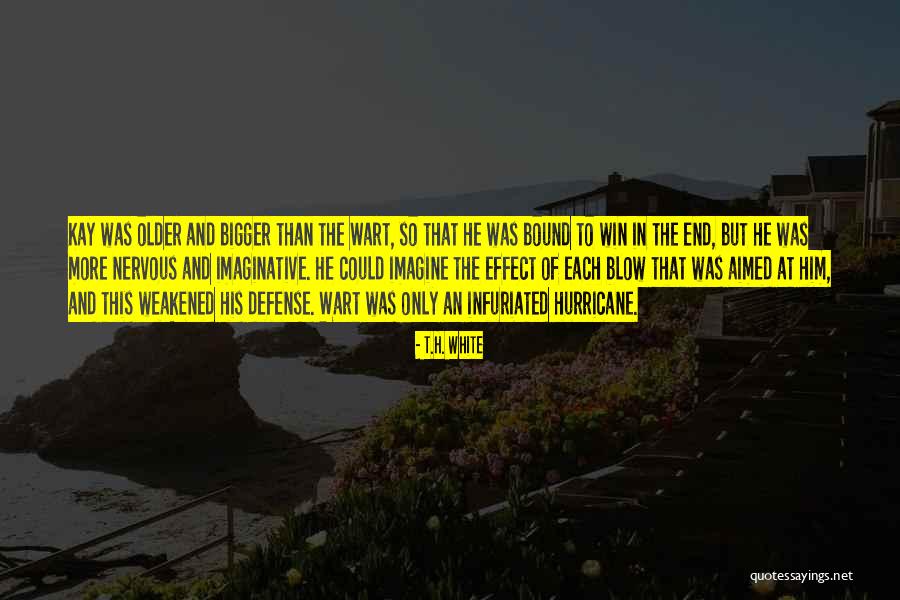 Democracyy Quotes By T.H. White Democracyy Quotes By T.H. White