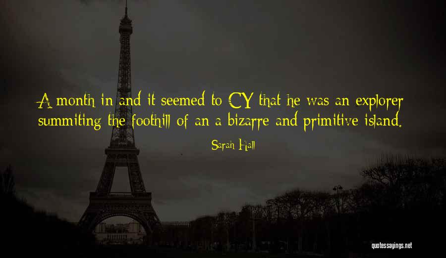 Democratico Definicion Quotes By Sarah Hall Democratico Definicion Quotes By Sarah Hall