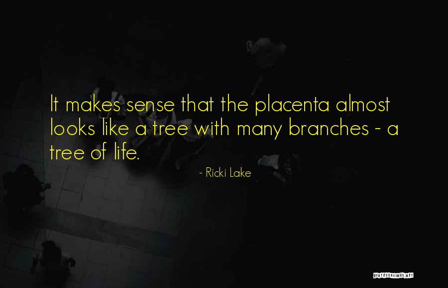Democrats Being Stupid Quotes By Ricki Lake Democrats Being Stupid Quotes By Ricki Lake