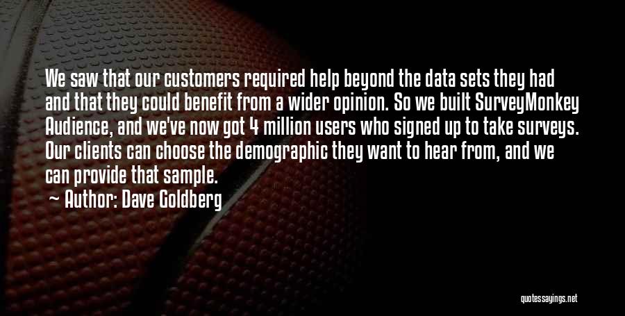 Demographic Quotes By Dave Goldberg