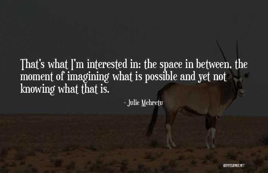 Demoliciones Vilche Quotes By Julie Mehretu Demoliciones Vilche Quotes By Julie Mehretu