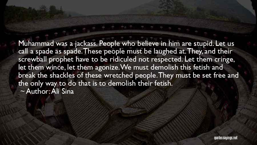 Demolish Quotes By Ali Sina