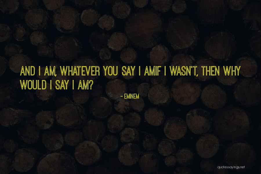 Demolition Man Taco Bell Quotes By Eminem Demolition Man Taco Bell Quotes By Eminem