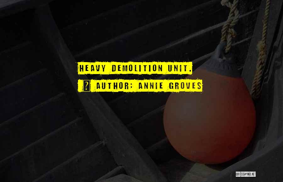 Demolition Quotes By Annie Groves