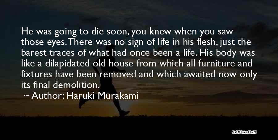Demolition Quotes By Haruki Murakami