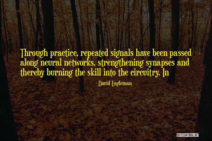 Demonion Quotes By David Eagleman Demonion Quotes By David Eagleman