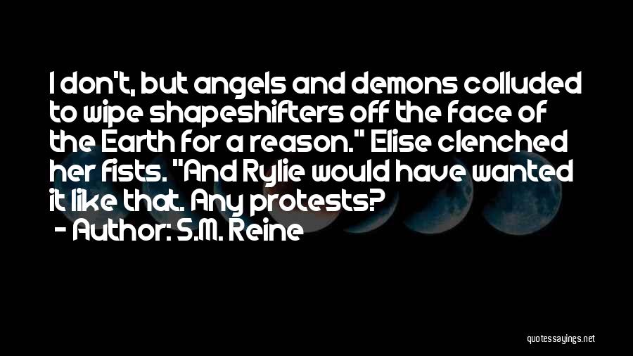 Demons And Angels Quotes By S.M. Reine