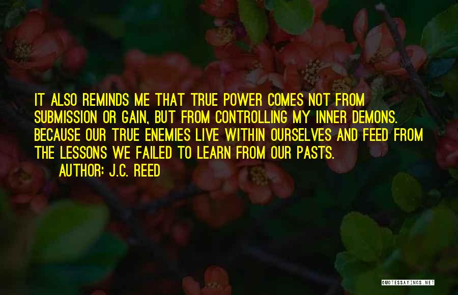 Demons Within Quotes By J.C. Reed