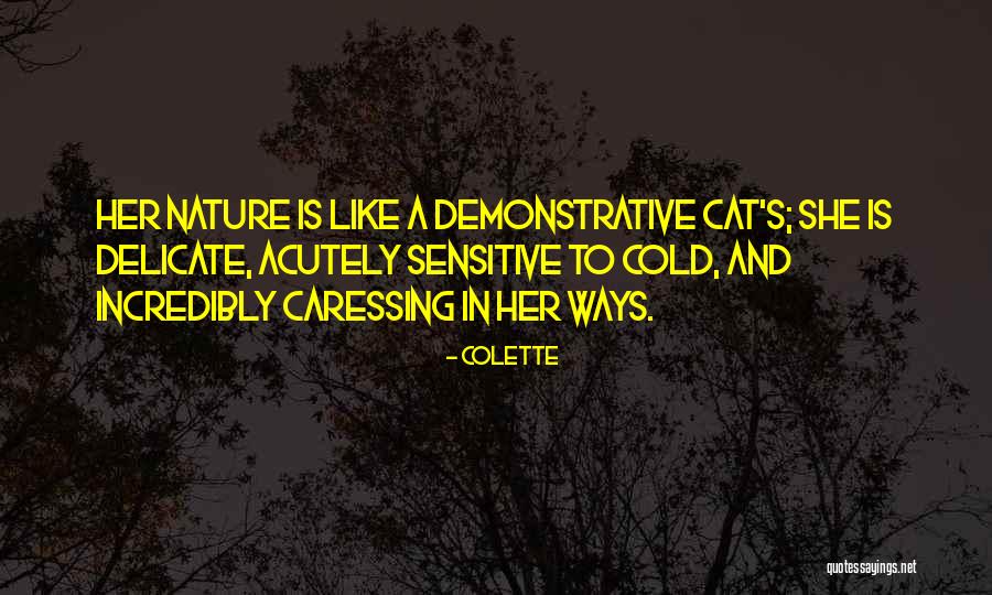 Demonstrative Quotes By Colette Demonstrative Quotes By Colette