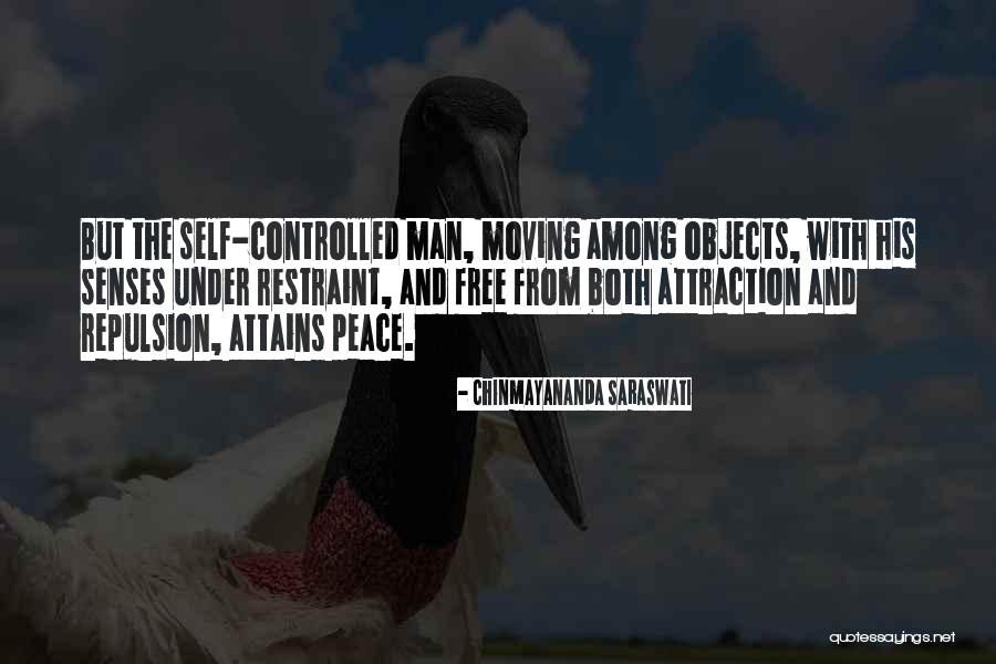 Demostraciones Matematicas Quotes By Chinmayananda Saraswati Demostraciones Matematicas Quotes By Chinmayananda Saraswati