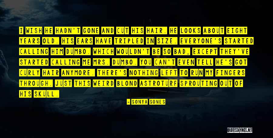 Demotivated Employees Quotes By Sonya Sones Demotivated Employees Quotes By Sonya Sones
