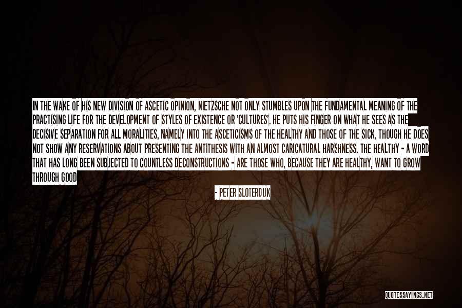 Denapoli Richard Quotes By Peter Sloterdijk Denapoli Richard Quotes By Peter Sloterdijk