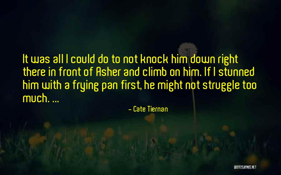 Denardi Outfitters Quotes By Cate Tiernan Denardi Outfitters Quotes By Cate Tiernan