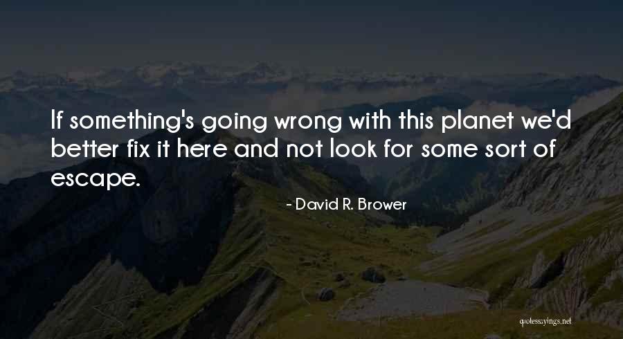 Dencker And Schneider Quotes By David R. Brower Dencker And Schneider Quotes By David R. Brower
