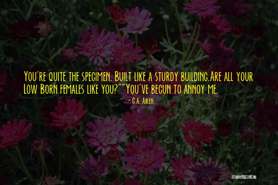 Dendrinos Bar Quotes By G.A. Aiken Dendrinos Bar Quotes By G.A. Aiken