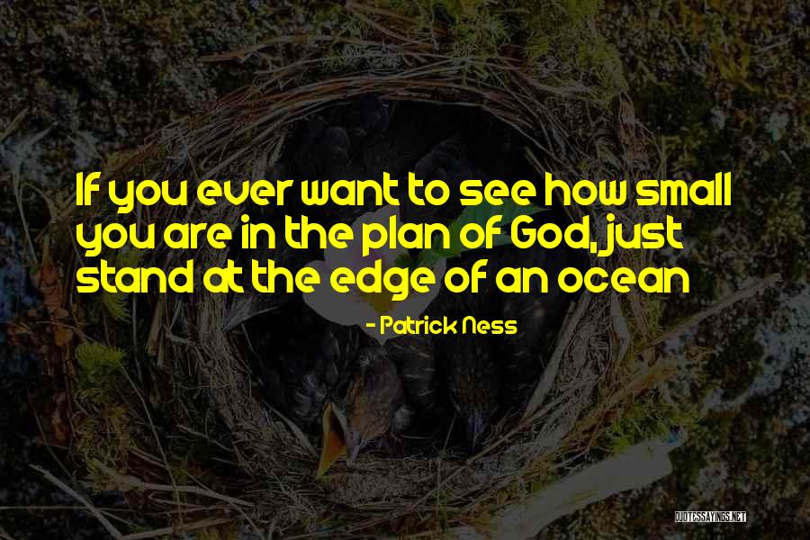 Dendrobium Kingianum Quotes By Patrick Ness Dendrobium Kingianum Quotes By Patrick Ness