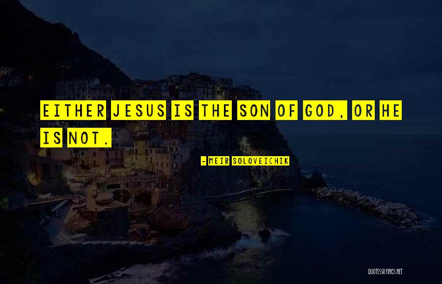 Deneva Indonesia Quotes By Meir Soloveichik Deneva Indonesia Quotes By Meir Soloveichik