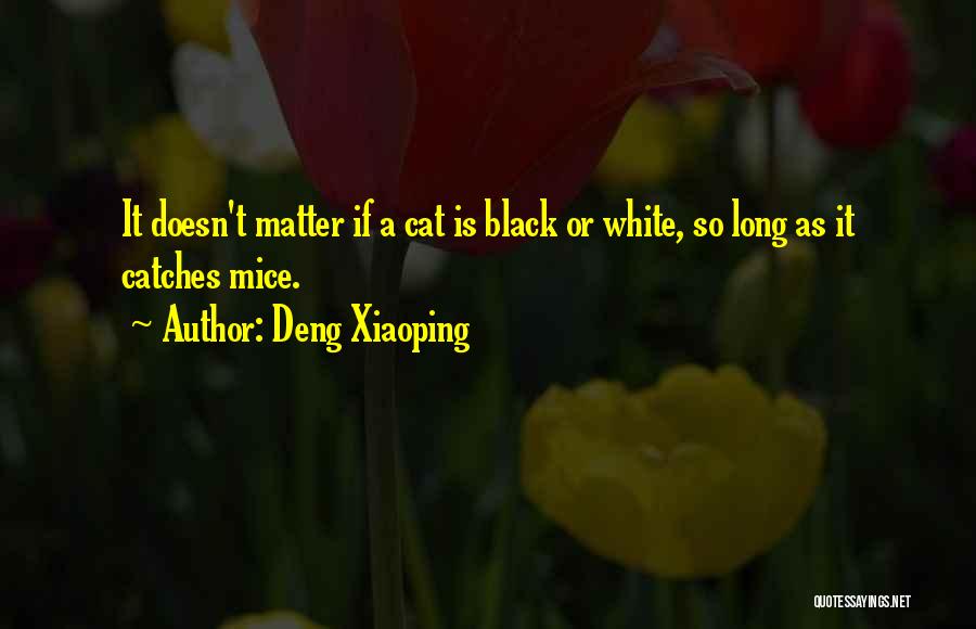 Deng Quotes By Deng Xiaoping